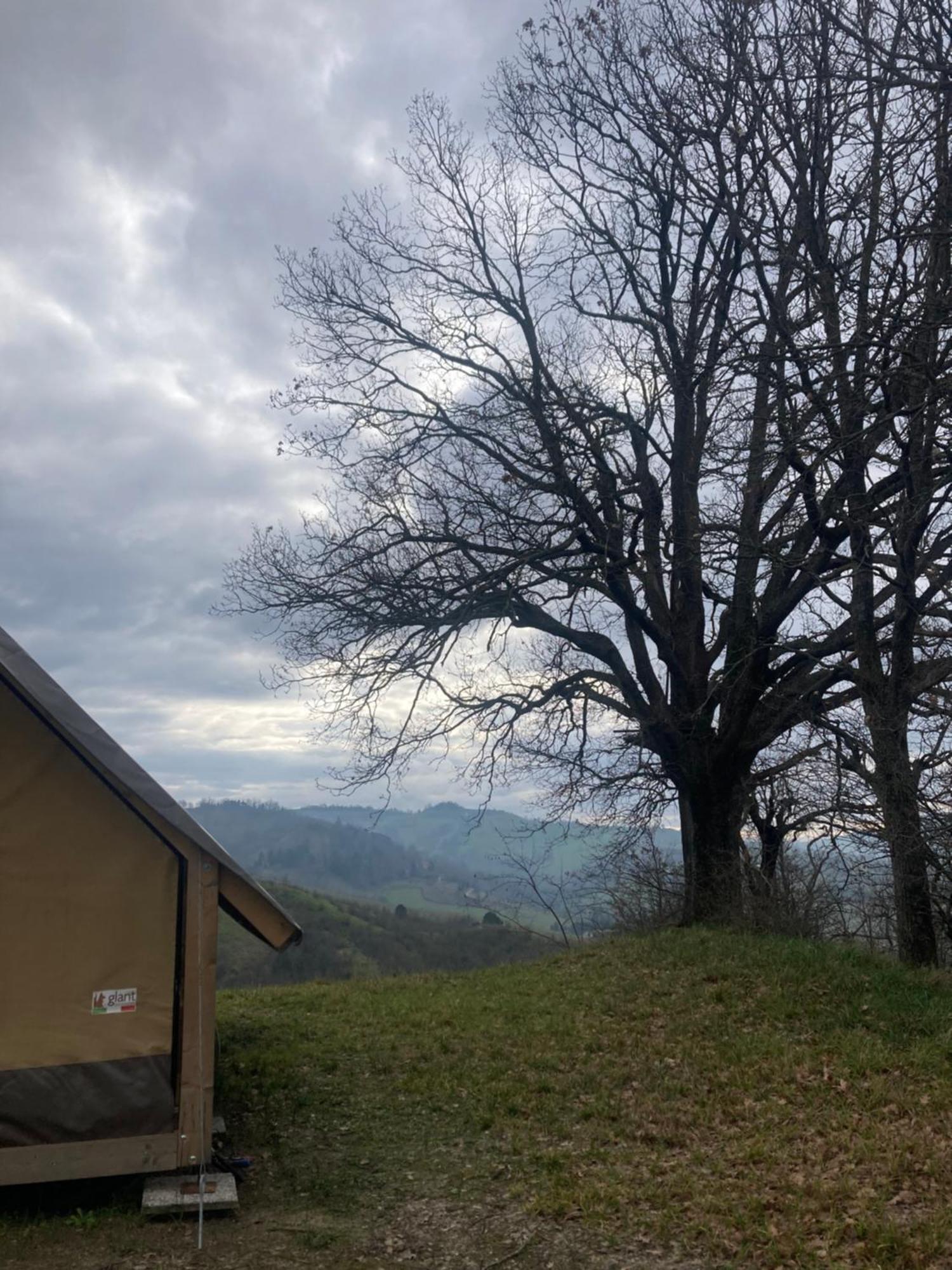 Glamping Pettirosso