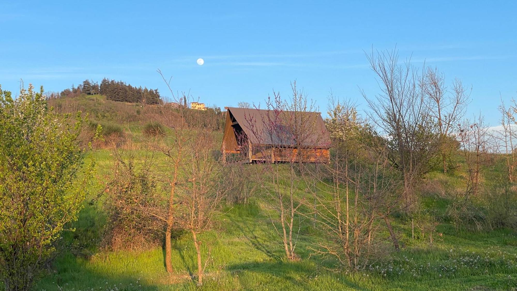 Glamping Pettirosso