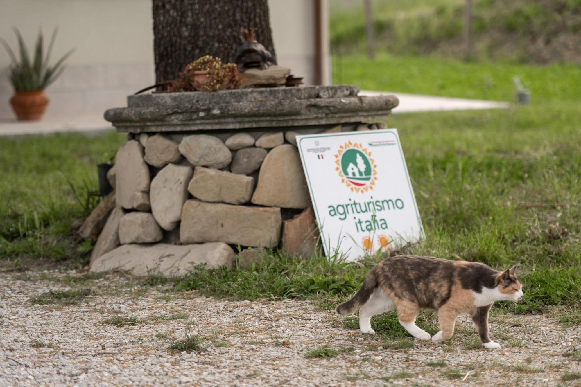 Glamping Pettirosso *